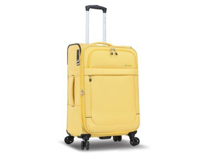 S48203 jaune 24 (4)