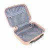 M51304 rose vanity (4)