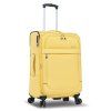 S48203 jaune 24 (4)